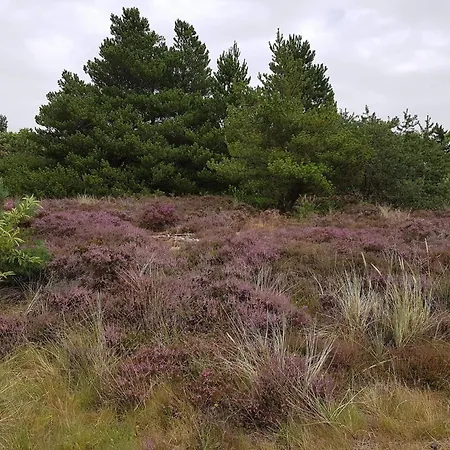 Modern Near Vadehavet * Rømø Kirkeby