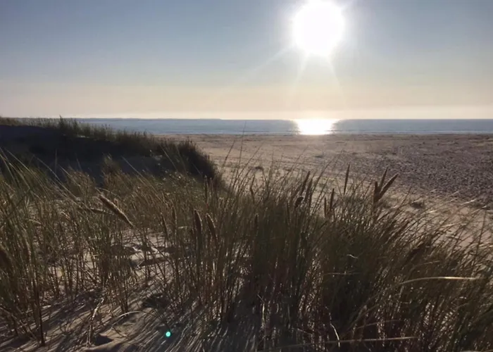 Modern Retreat Near Vadehavet - By Traum *